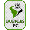Titel: Buffles de Borgou FC