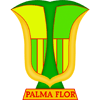 Atltico Palmaflor