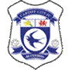 Titel: Cardiff City