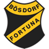 SV Fortuna Bsdorf