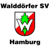 Walddrfer SV 1924