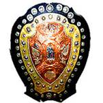 IFA SHIELD