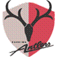 Titel: Kashima Antlers