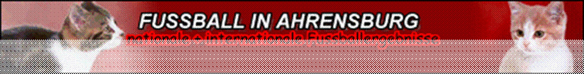 Titel: Fussbll in Ahrensburg