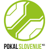 Pokal Slovenije