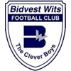 BidVest Wits