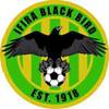 Ifira Black Bird FC